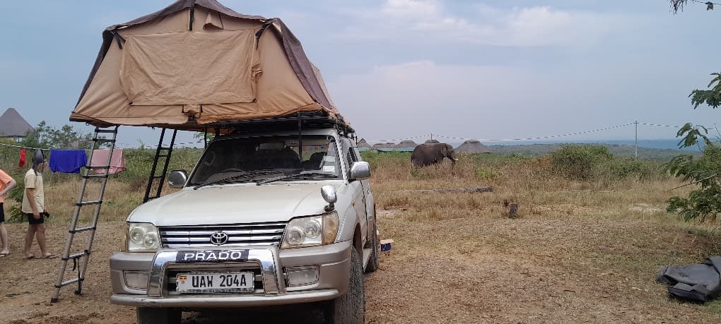 Rent a 4x4 Land Cruiser with a Roof Top Tent In Uganda