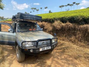 Experience Uganda’s Wild With A 4×4 Rooftop Tent Car Rental