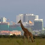 Packing Checklist For Uganda Safari Tours