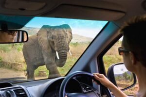 How To Protect Your Self Drive Rental Car In Uganda