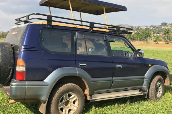How To Choose The Perfect Safari Car Rental In Uganda
