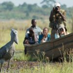 Best 14 Days Uganda Safari Route For Adventure Travelers