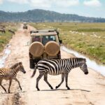 10 Days Uganda Road Trip Itinerary (Budget + Mid-range)