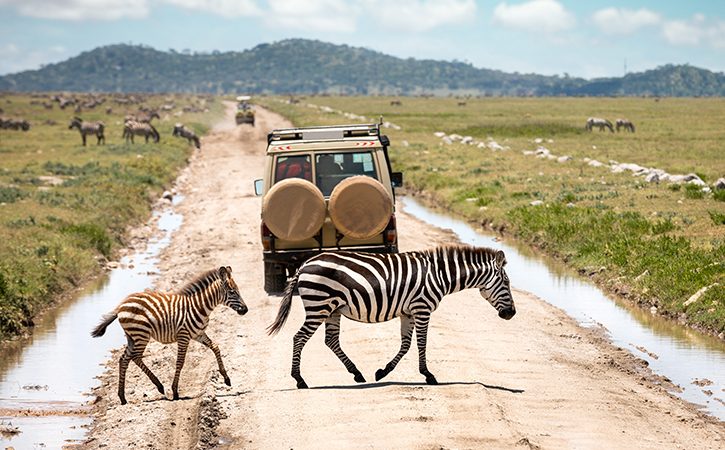 Serengeti National Park - 4x4 Rent A Car Uganda
