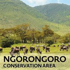 Ngorongoro Conservation Area - 4x4 Rent A Car Uganda