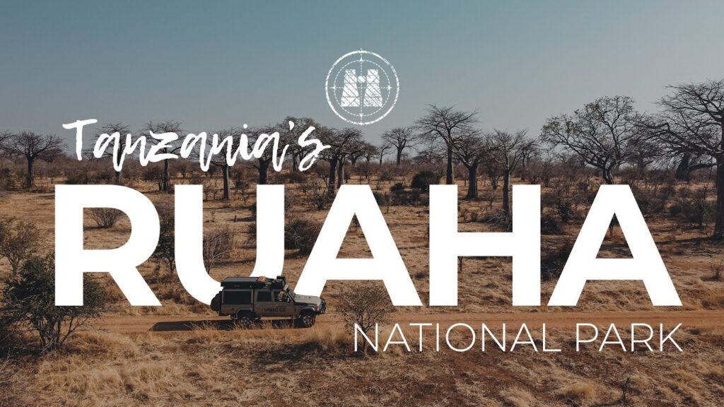Ruaha National Park- 4x4 Rent A Car Uganda