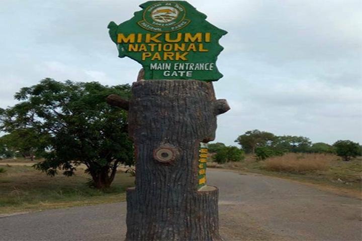 Mikumi National Park - 4x4 Rent A Car Uganda