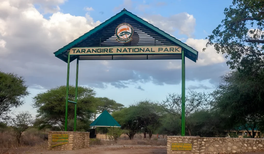 Tarangire National Park - 4x4 Rent A Car Uganda