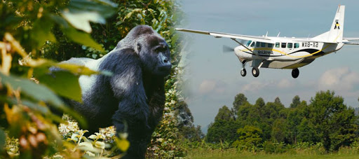 5 Days Uganda Gorilla Fly-in Safari - 4x4 Rent A Car Uganda