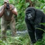 3 Days Gorilla Trekking and Lake Bunyonyi Safari In Uganda
