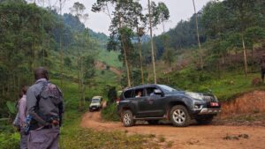 Driving to Bwindi Impenetrable Forest: Road Conditions & Tips